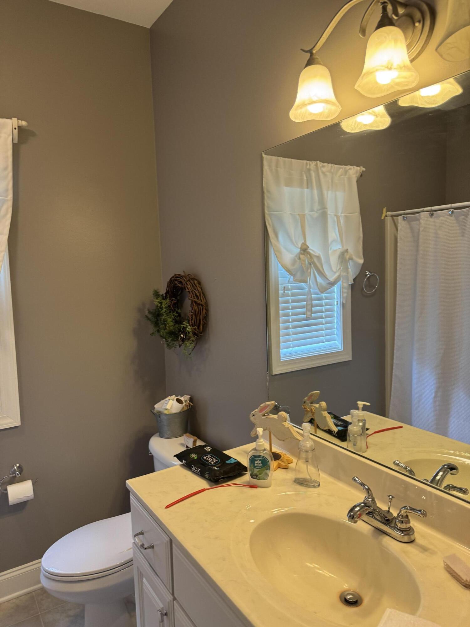 1060 Cranberry Ct, Moneta, Virginia image 8
