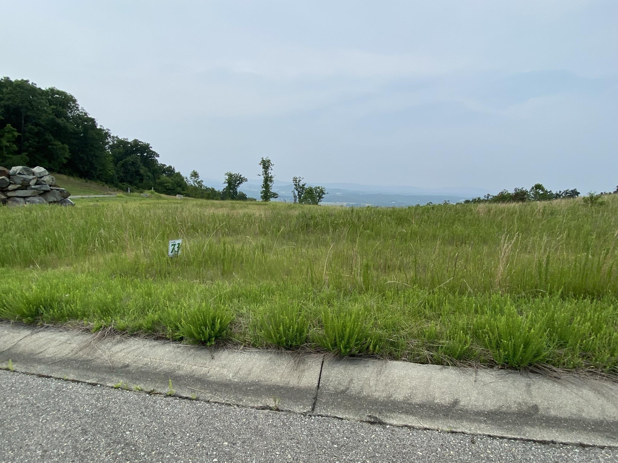 LOT 73 Penny Ln, Rocky Mount, Virginia image 2