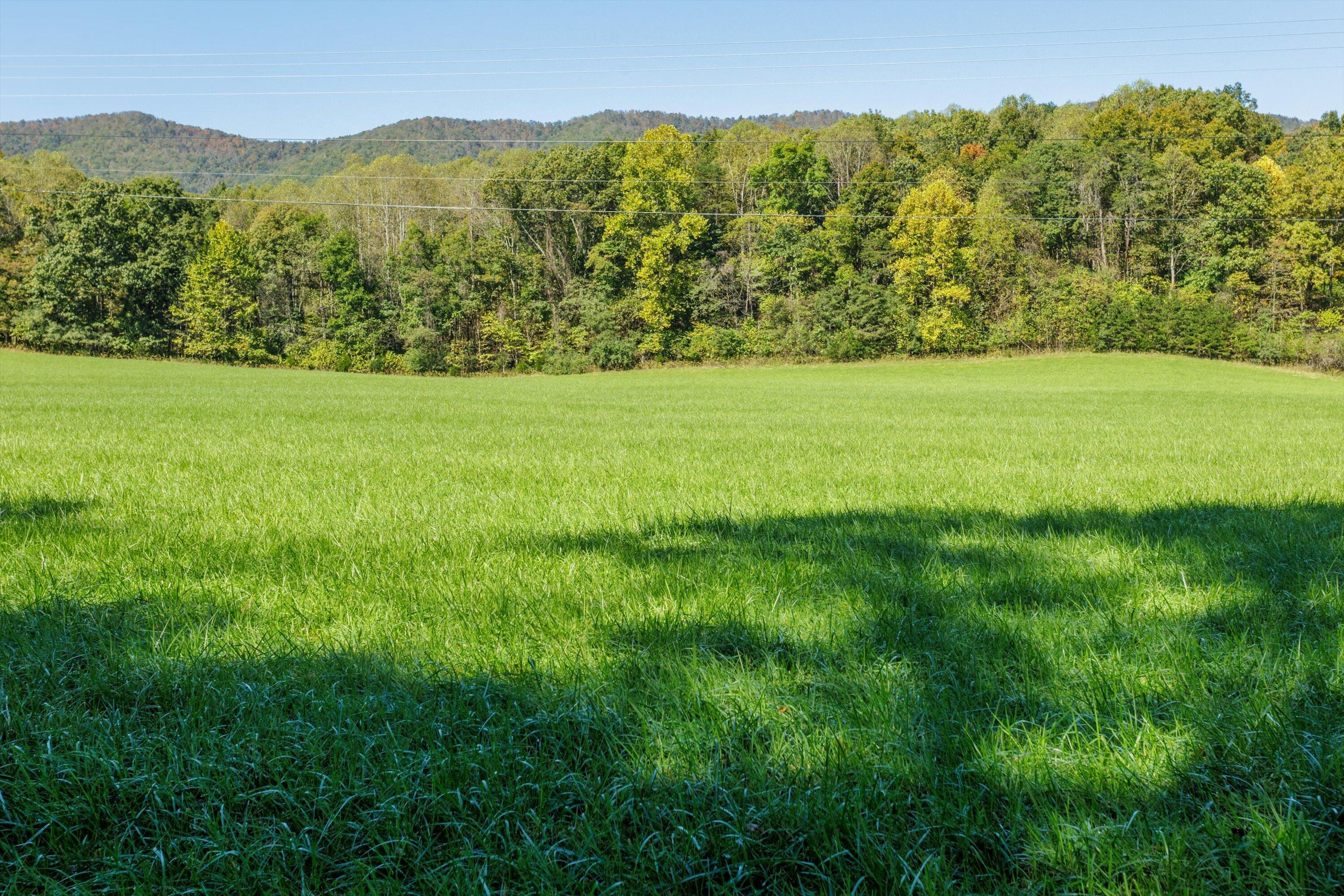 Haymakertown Rd, Troutville, Virginia image 9