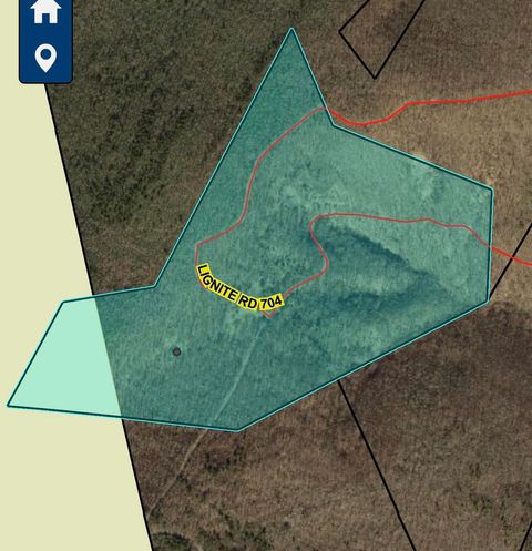 Vacant Land For Sale - 4001 Lignite Rd<br/> Eagle Rock, VA 24085