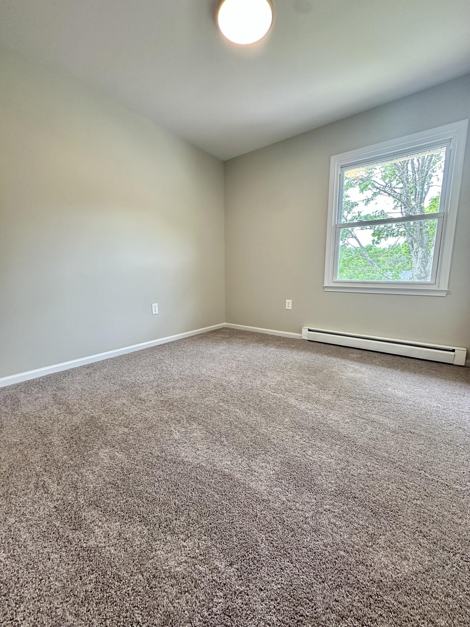 1300 Cherokee Trl, Covington, Virginia image 18