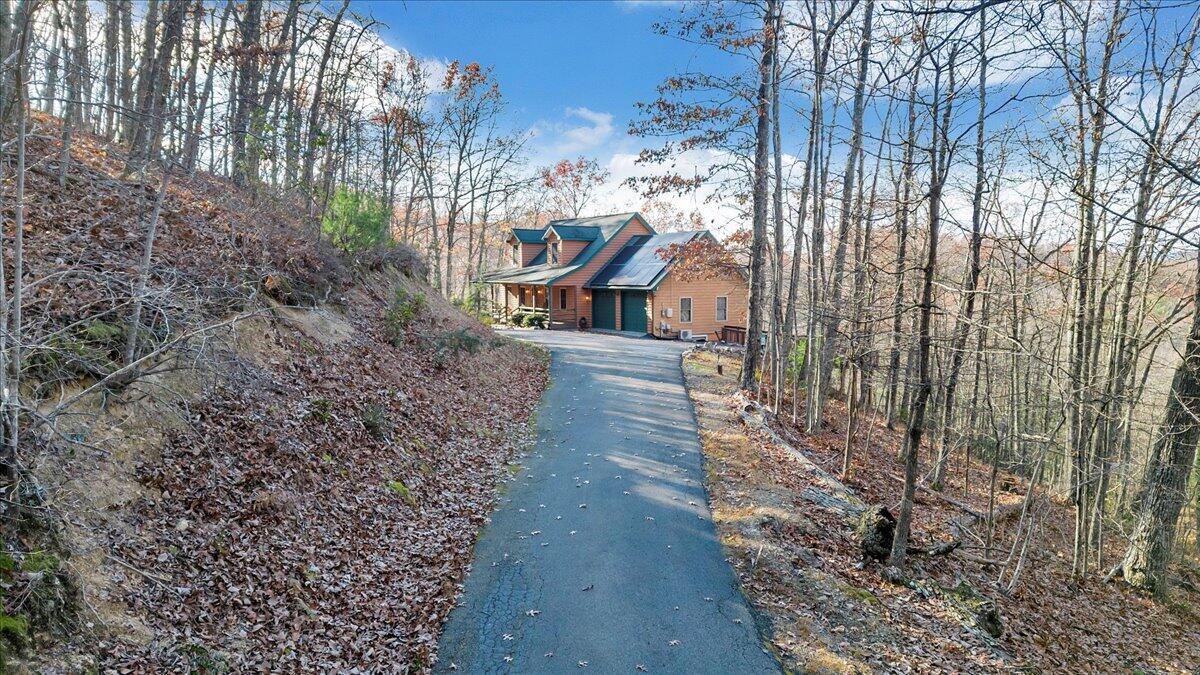 425 Ivy Mountain Rd, Buchanan, Virginia image 48