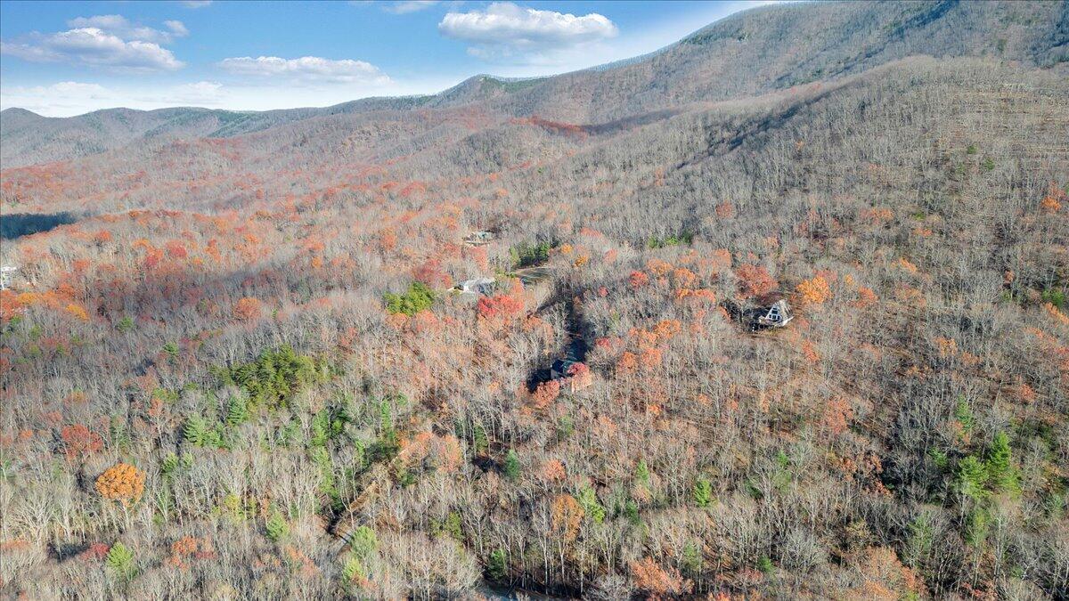 425 Ivy Mountain Rd, Buchanan, Virginia image 45