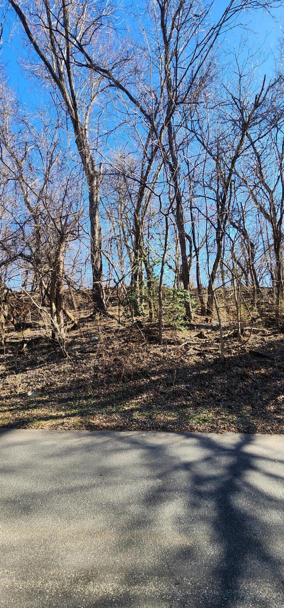 Chestnut St, Vinton, Virginia image 2