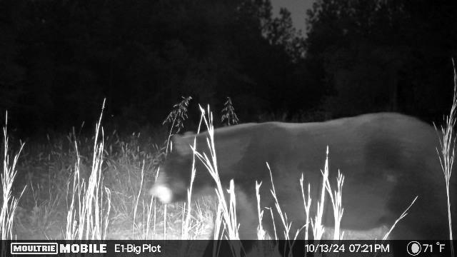 00 Rock Cliff Rd, Bedford, Virginia image 13