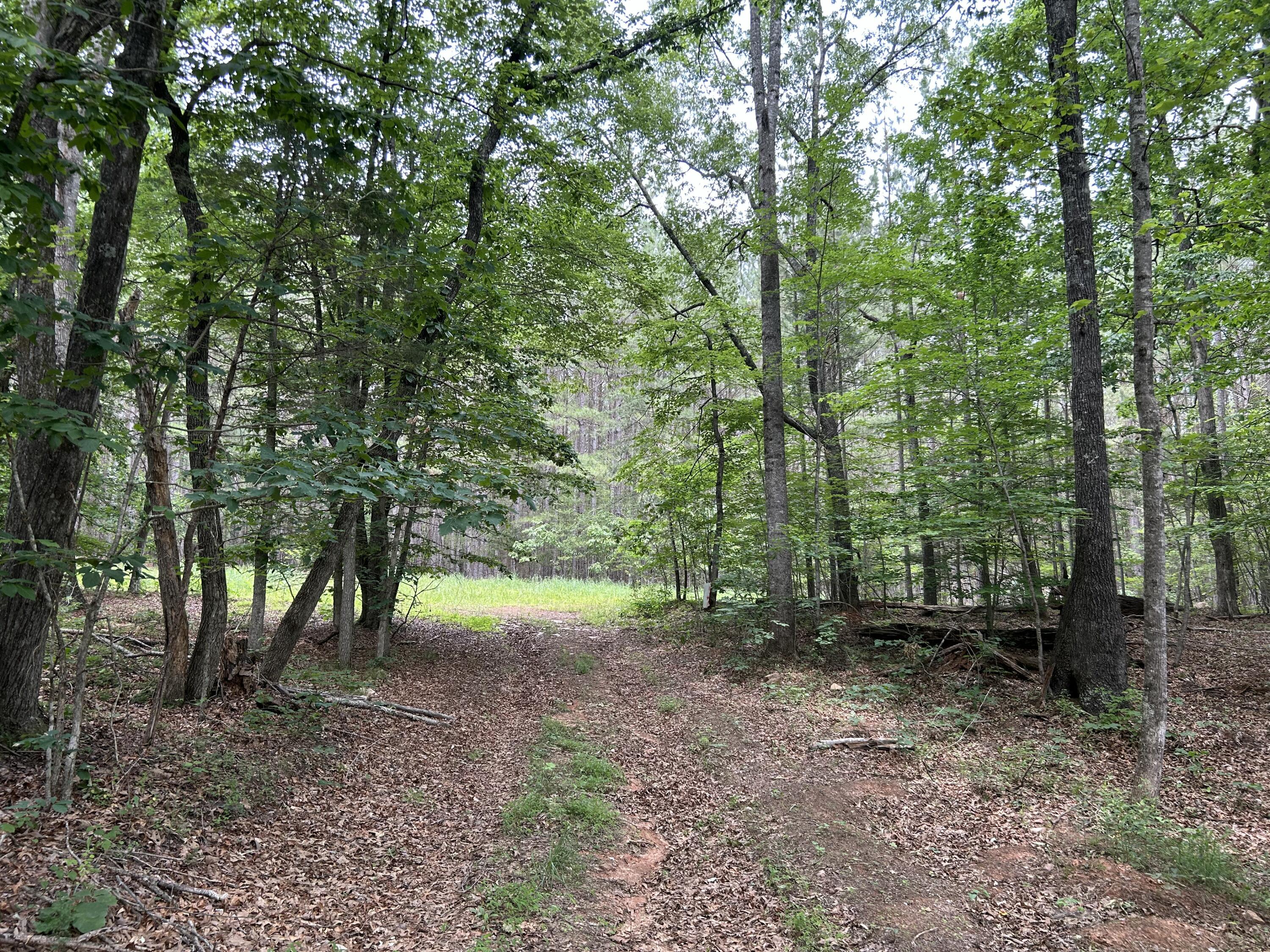 00 Rock Cliff Rd, Bedford, Virginia image 17