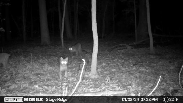 00 Rock Cliff Rd, Bedford, Virginia image 11