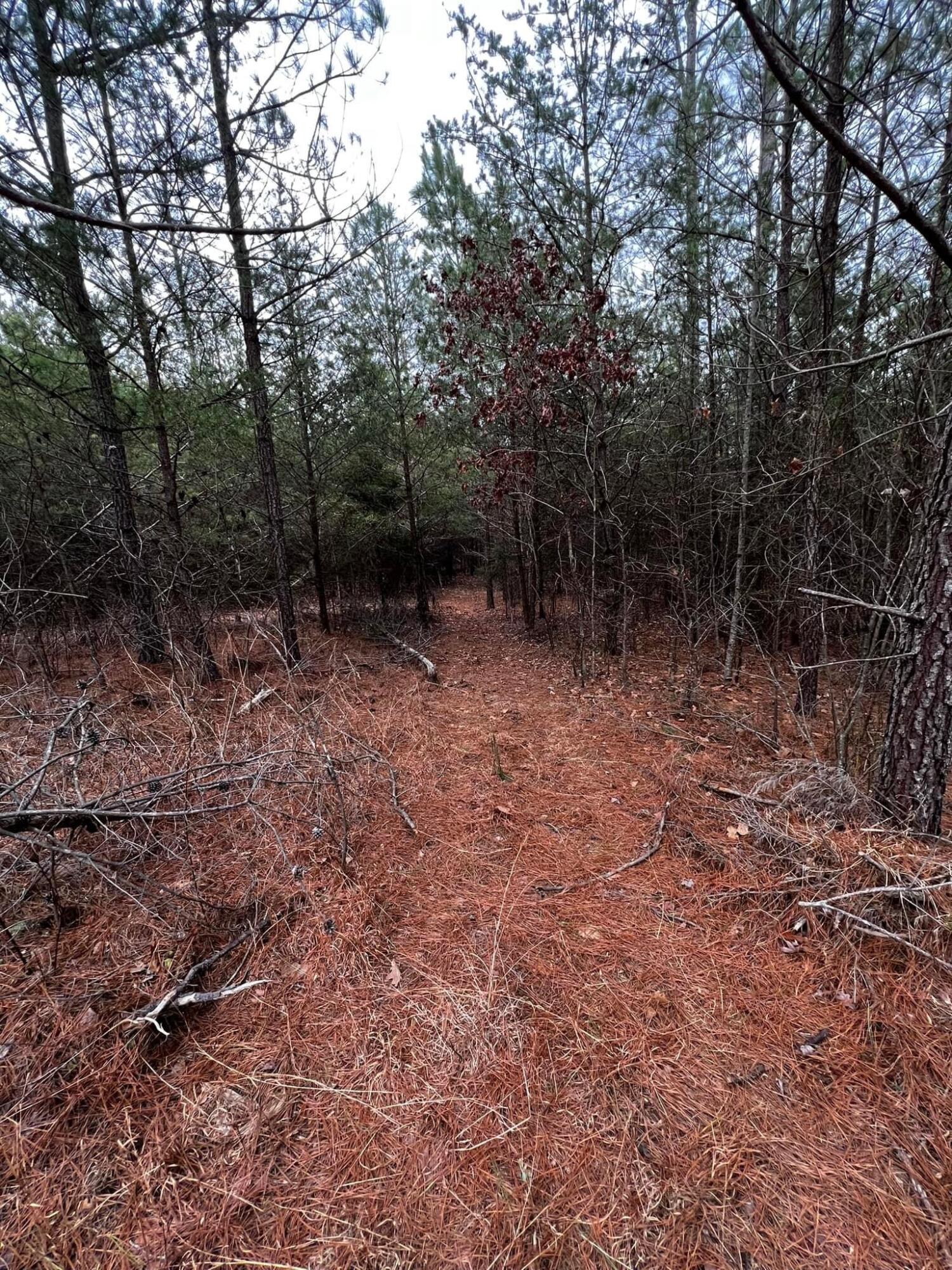 00 Rock Cliff Rd, Bedford, Virginia image 25
