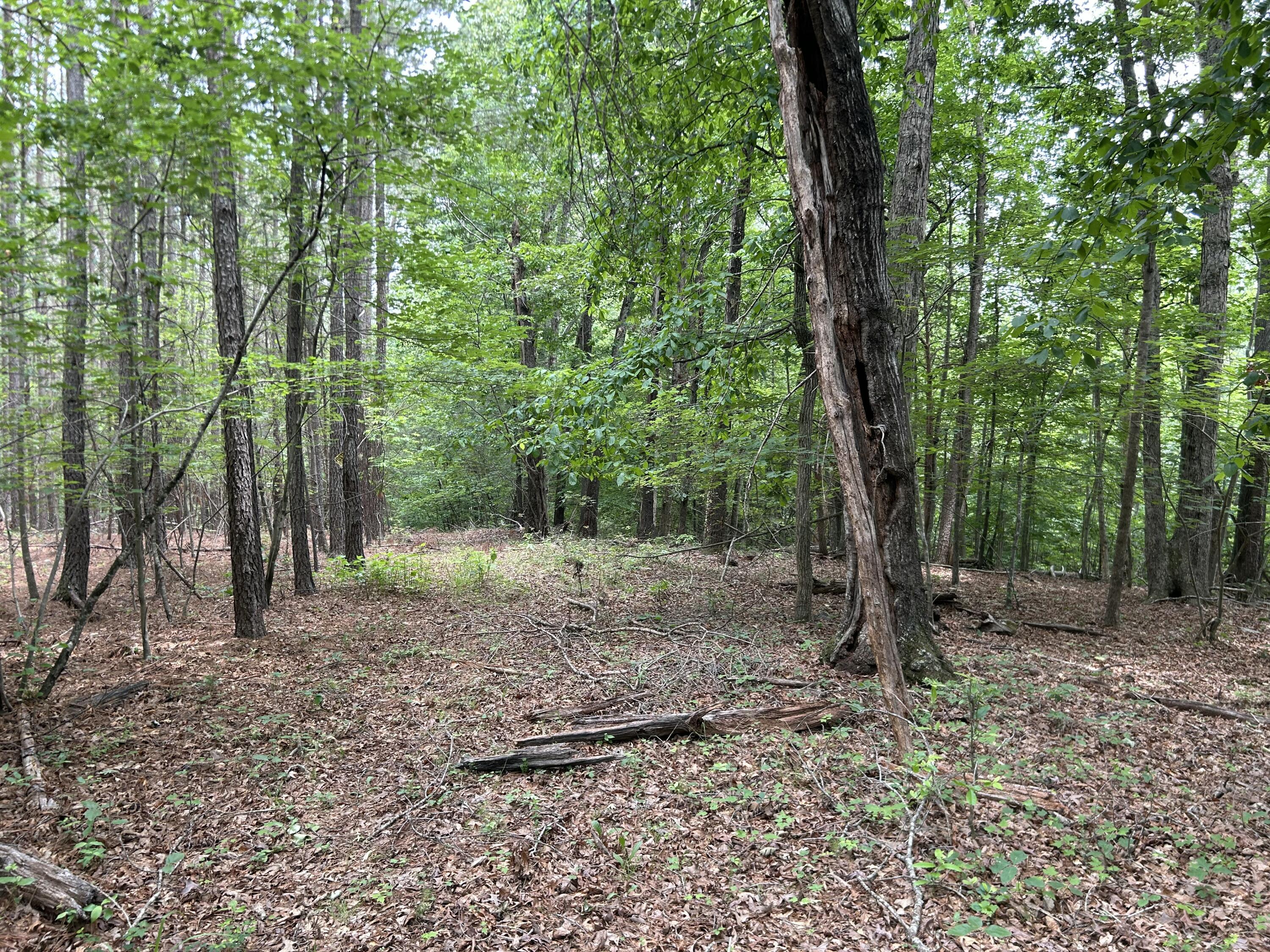 00 Rock Cliff Rd, Bedford, Virginia image 20