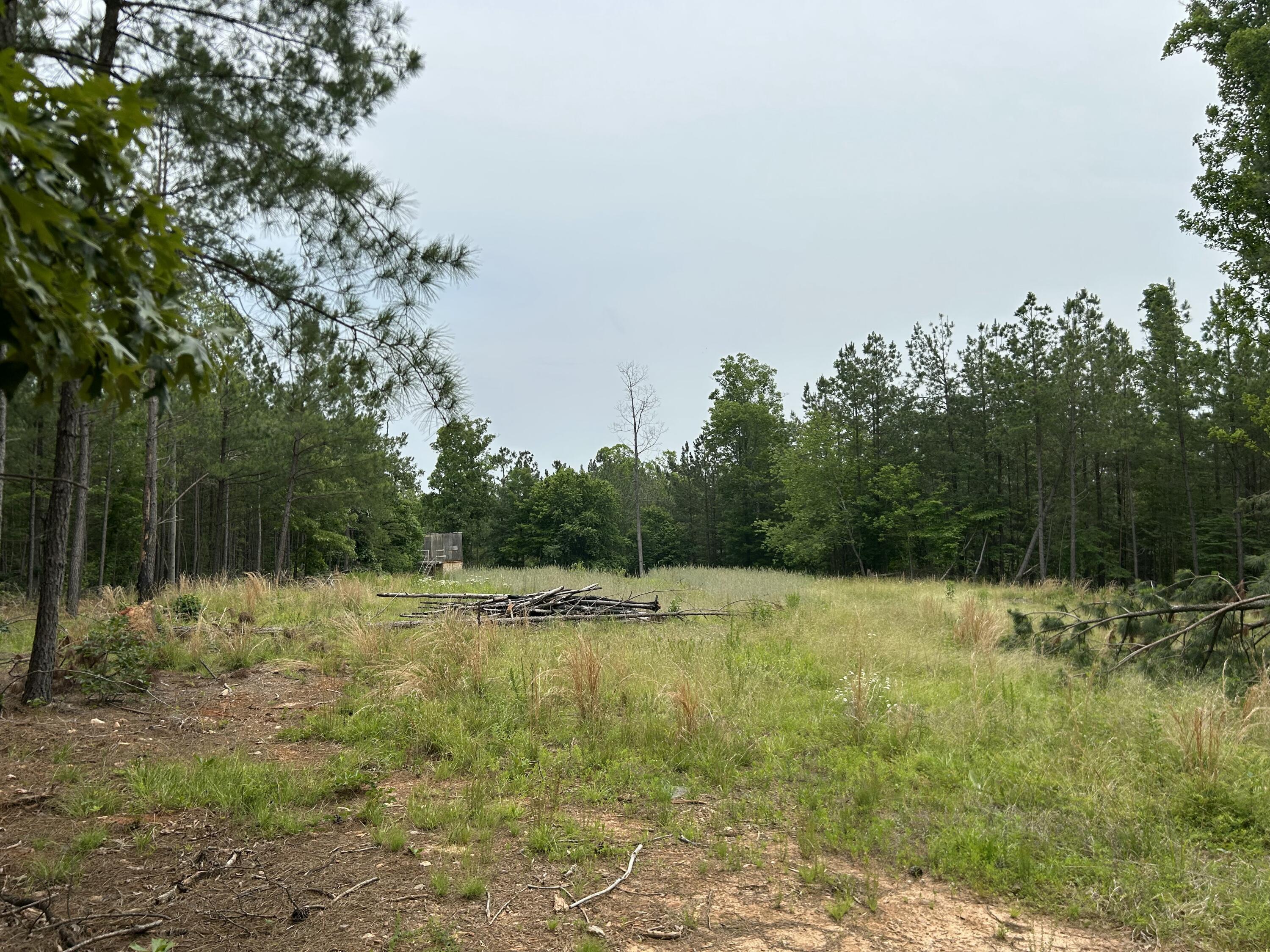 00 Rock Cliff Rd, Bedford, Virginia image 4