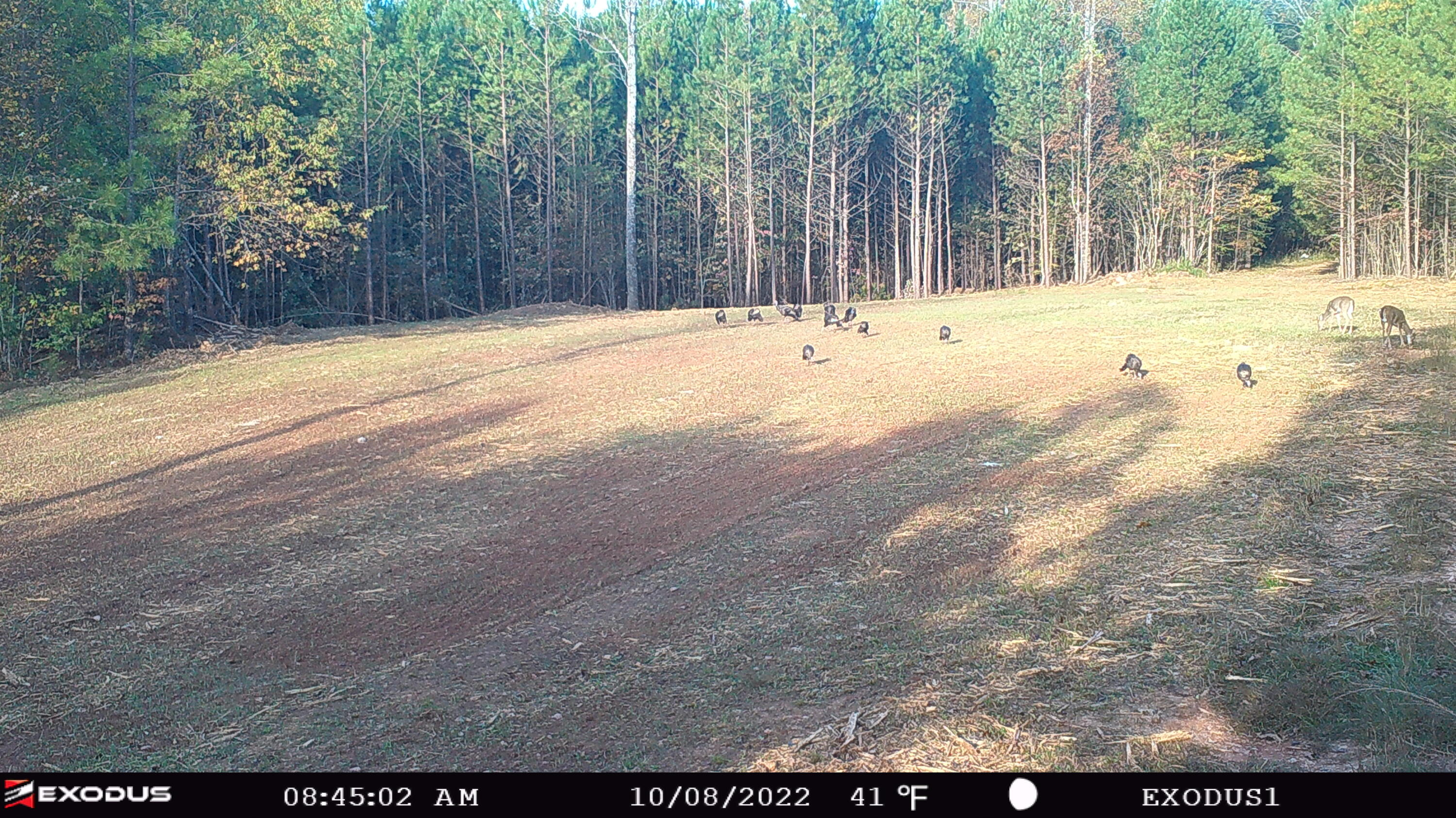 00 Rock Cliff Rd, Bedford, Virginia image 16