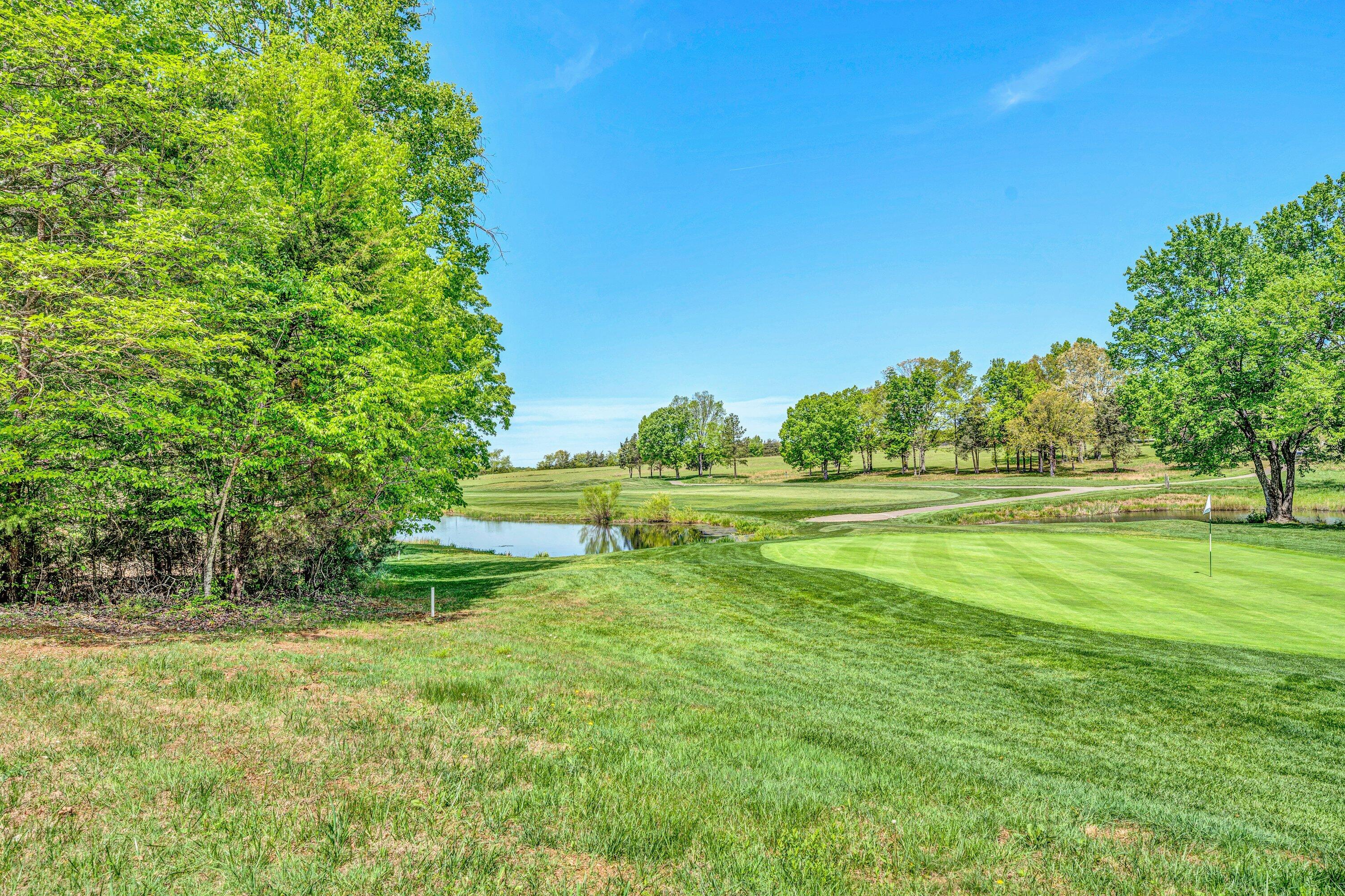 104 Peach Tree Ct, Huddleston, Virginia image 34