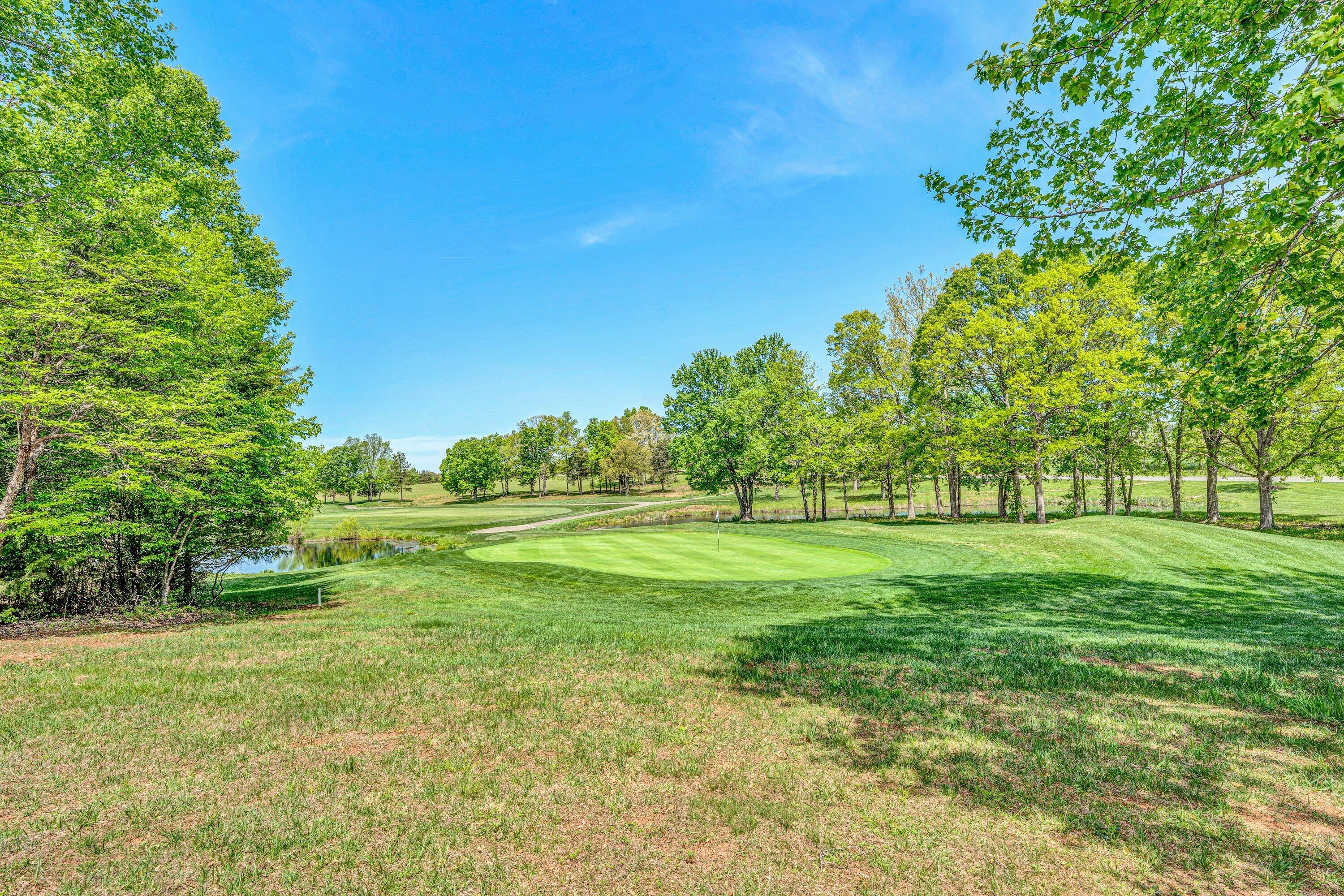104 Peach Tree Ct, Huddleston, Virginia image 33