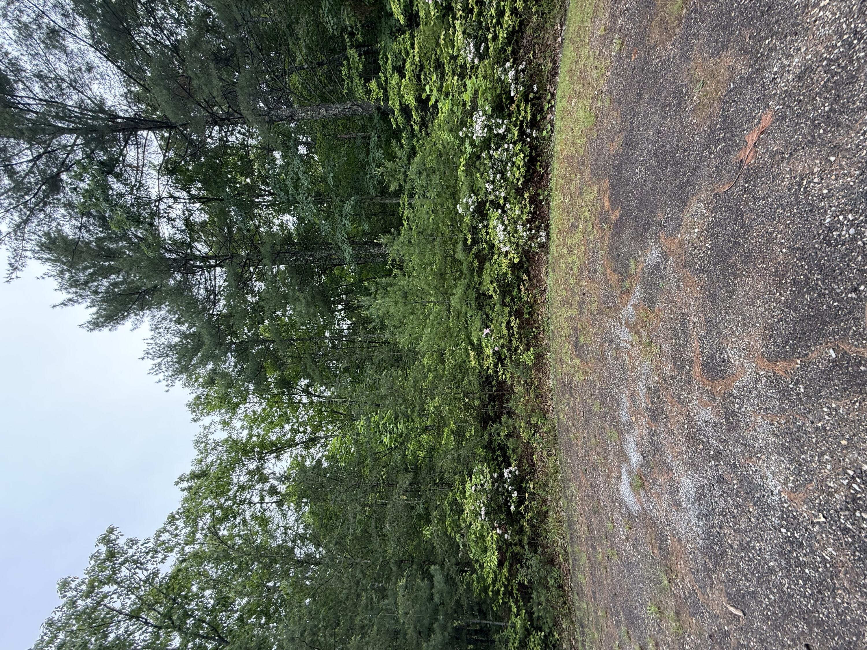 Lot 5 Galax Rd, New Castle, Ohio image 1