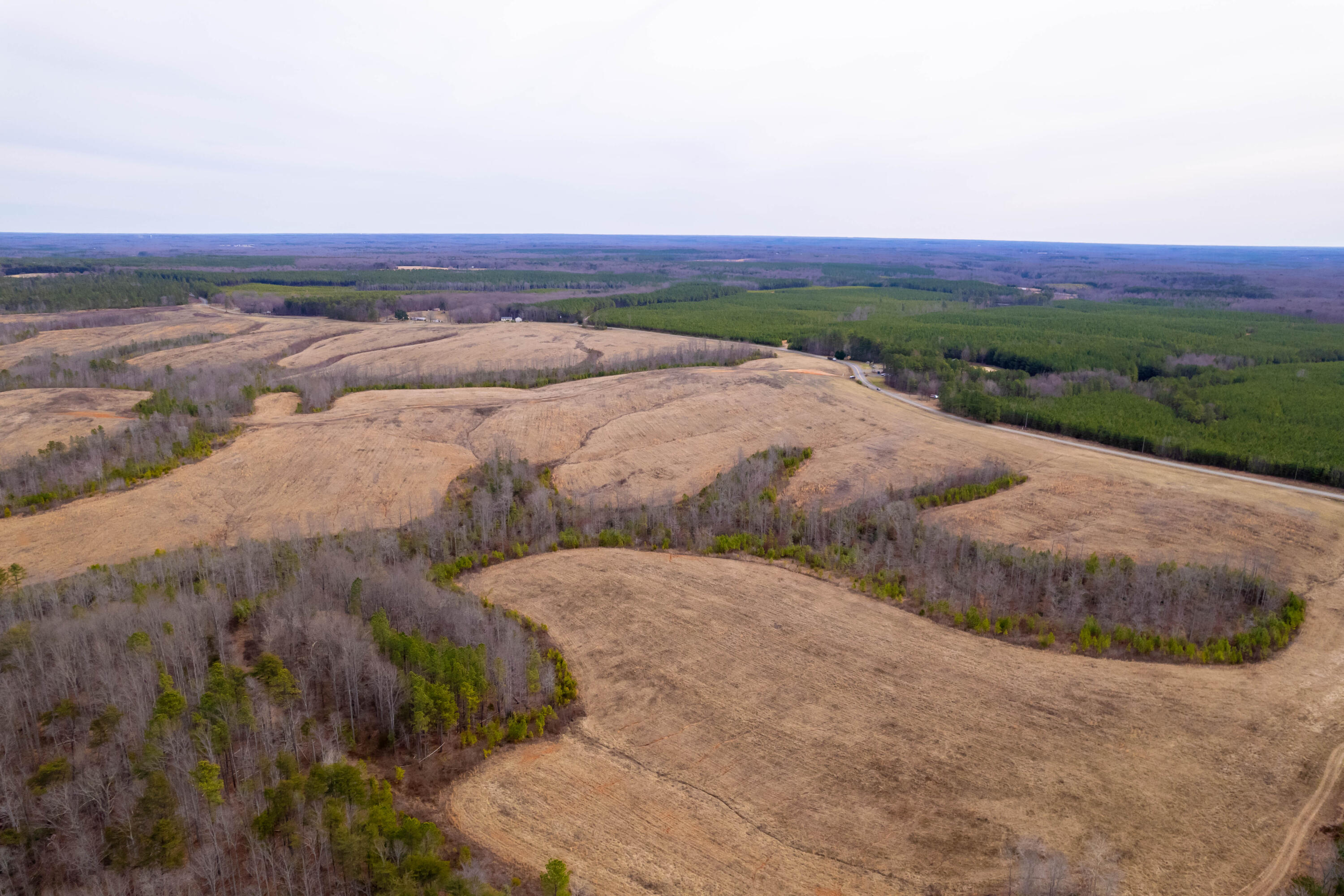 Martin Kings Rd, Scottsville, Virginia image 7