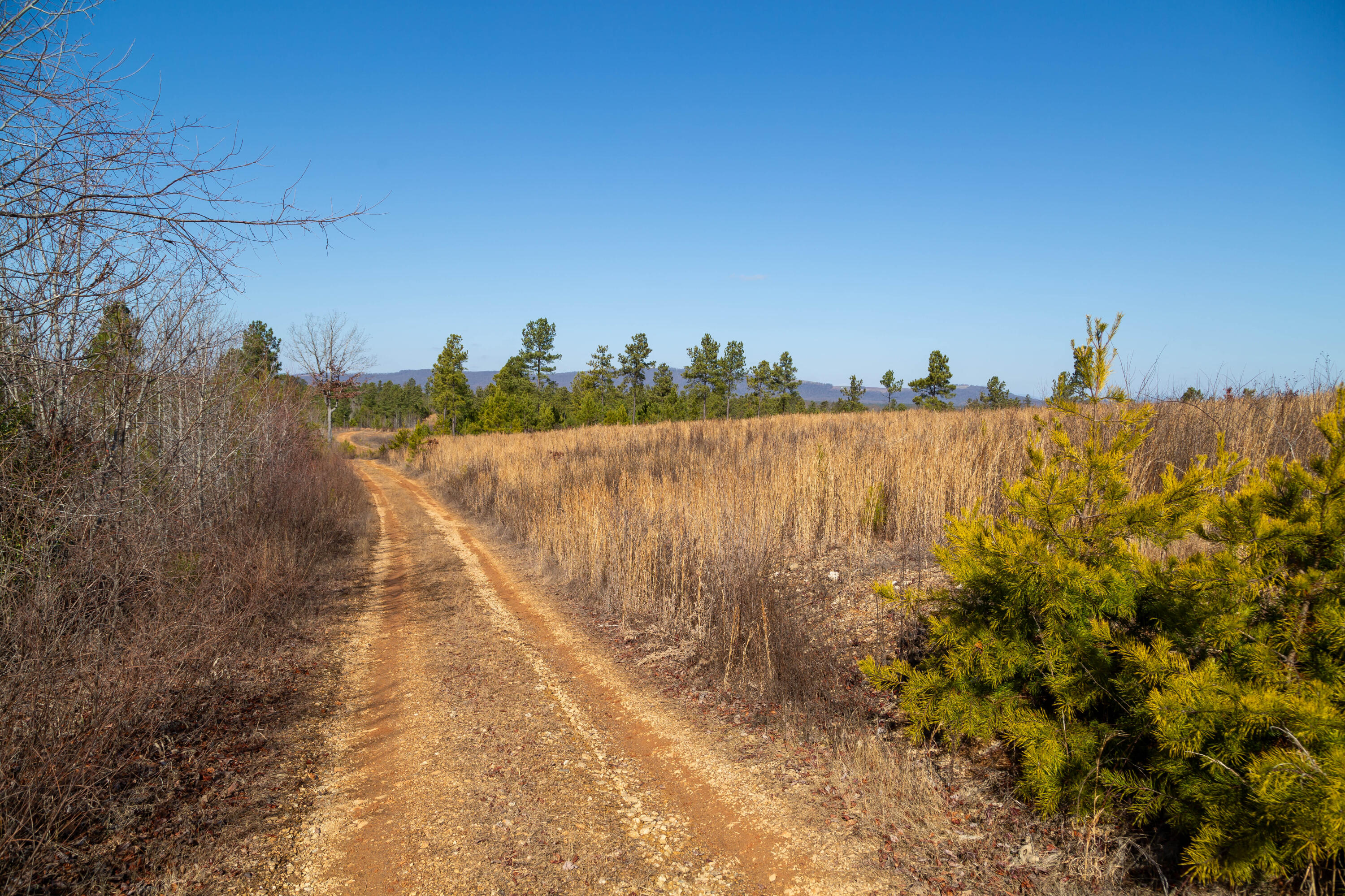 Martin Kings Rd, Scottsville, Virginia image 16