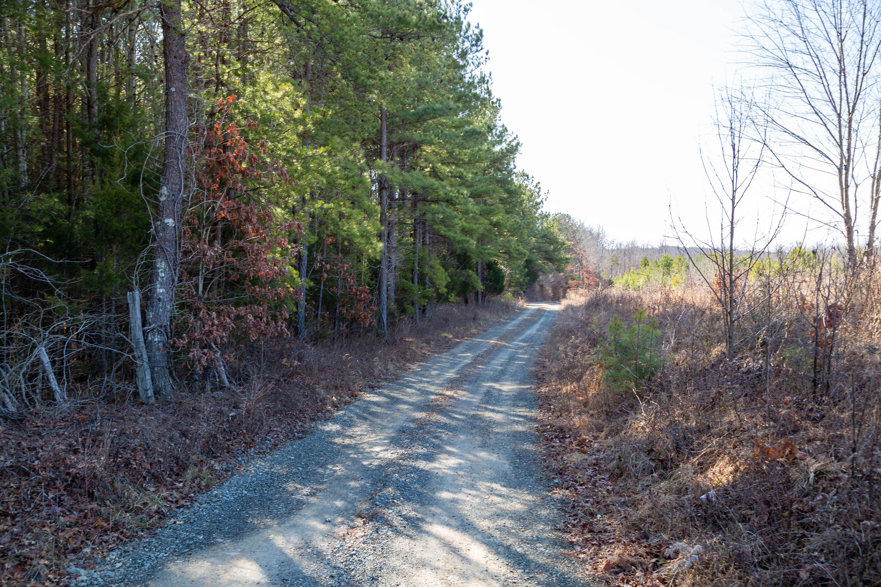 Martin Kings Rd, Scottsville, Virginia image 14