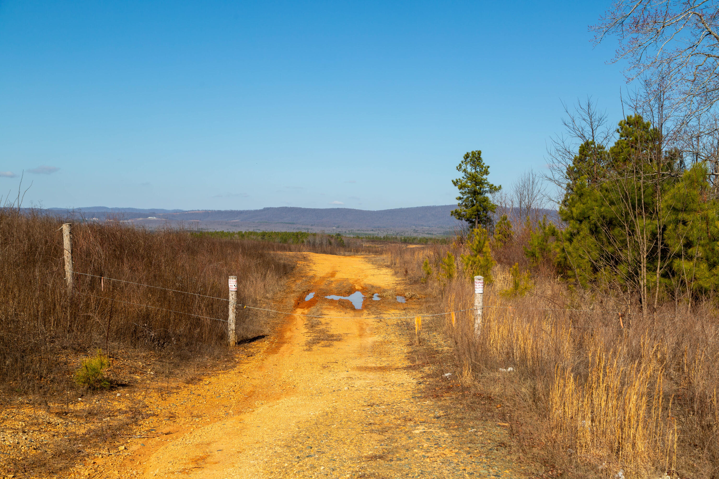 Martin Kings Rd, Scottsville, Virginia image 15