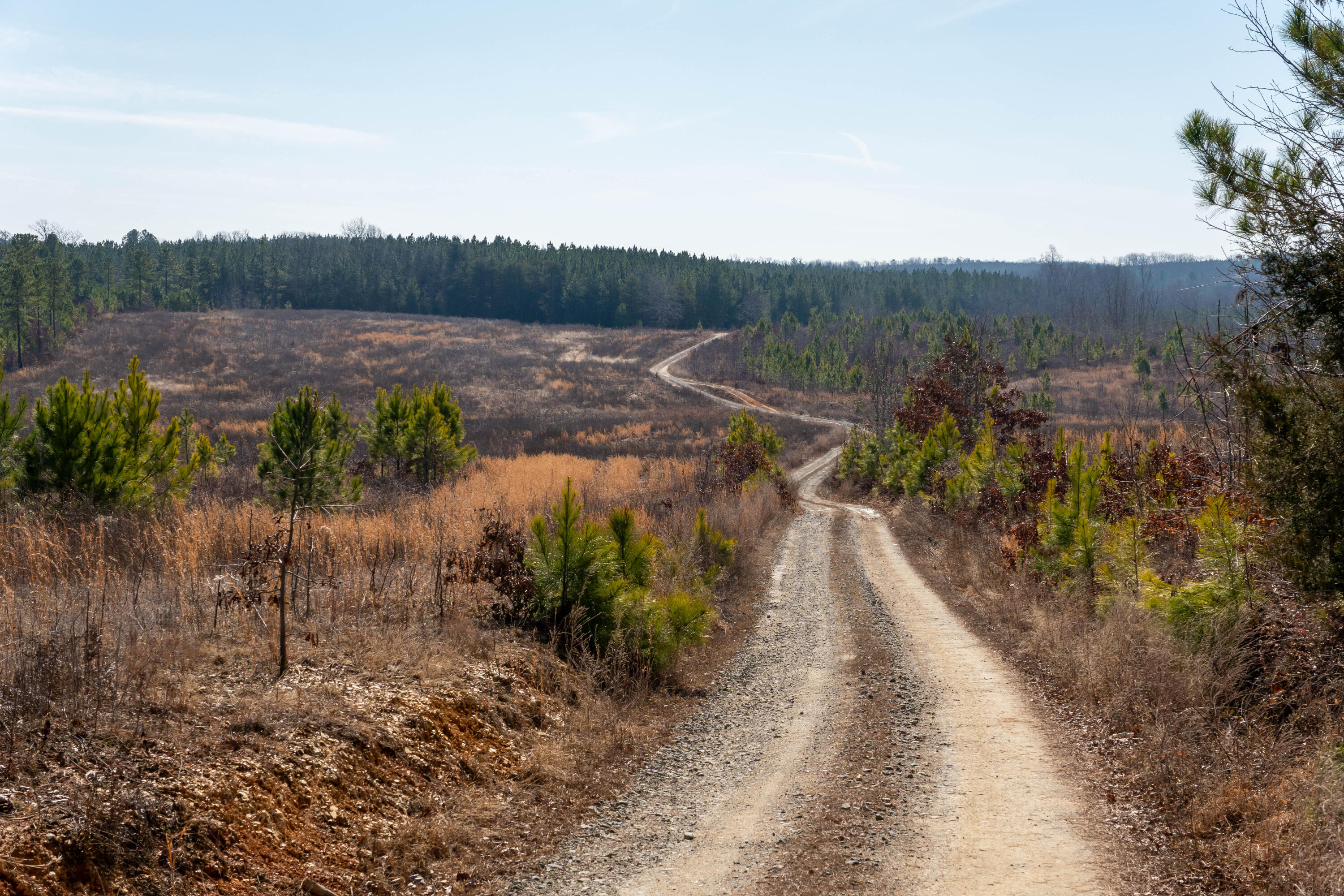 Martin Kings Rd, Scottsville, Virginia image 50