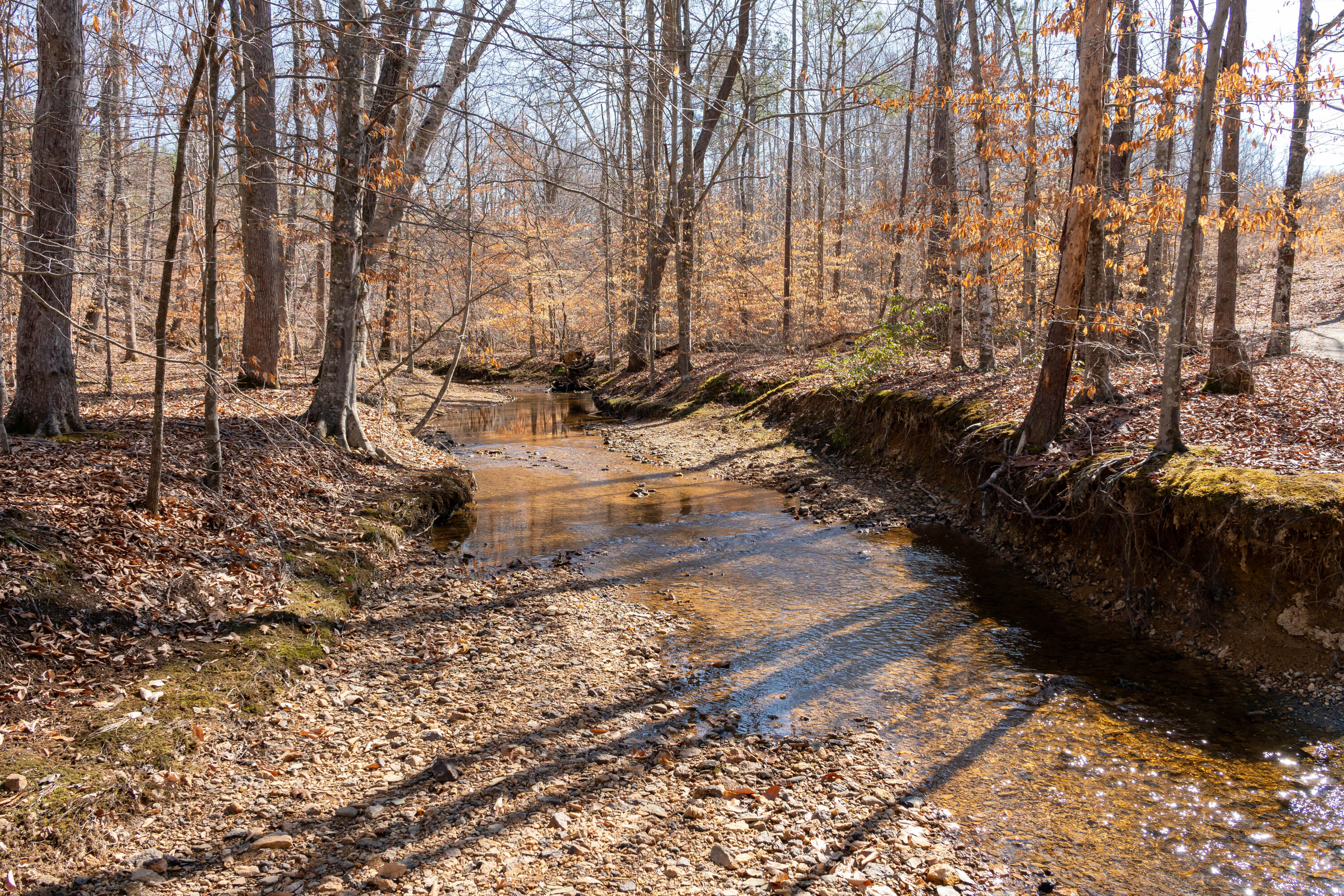 Martin Kings Rd, Scottsville, Virginia image 47