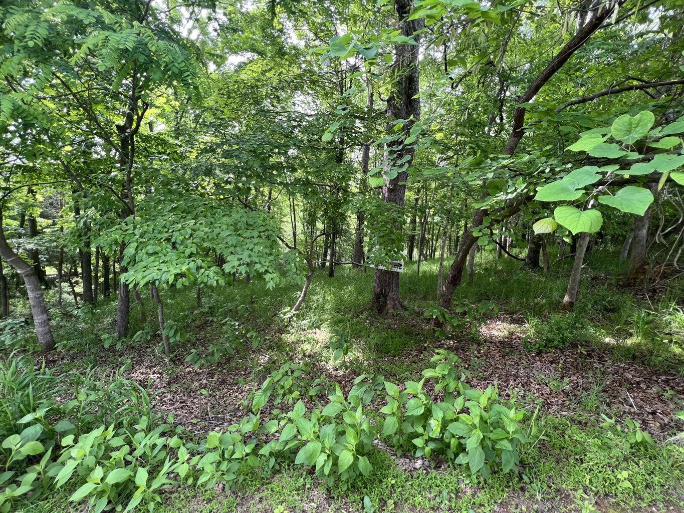 Lot 21 W Twin Lake Dr, Bedford, Virginia image 1