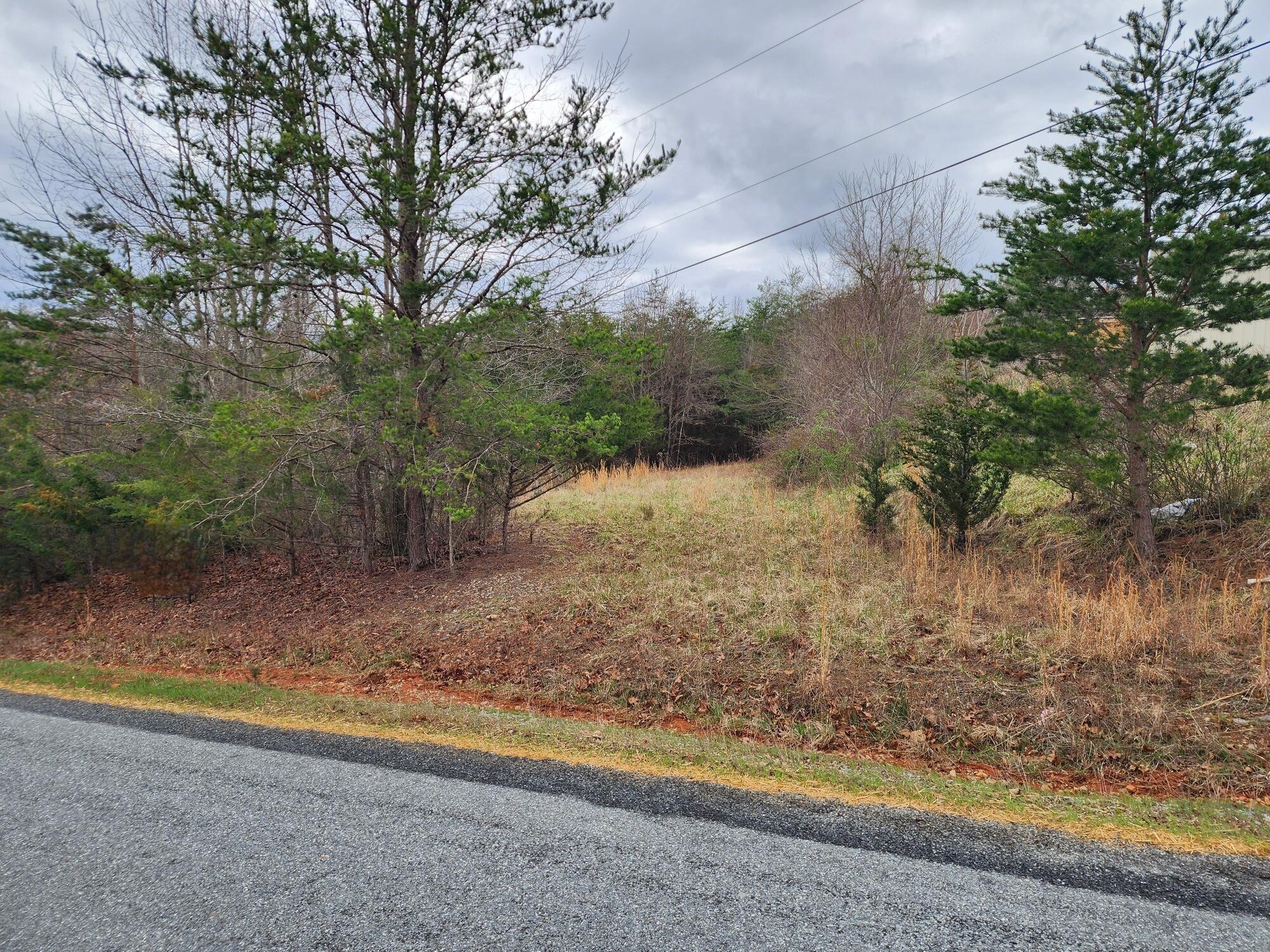 Rocky Mount, Virginia 24151, United States, ,Commercial,Active,171772