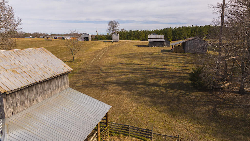 11300 Amelia Springs Rd, Jetersville, Virginia image 11