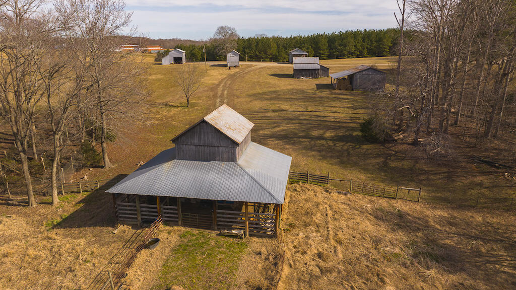 11300 Amelia Springs Rd, Jetersville, Virginia image 10