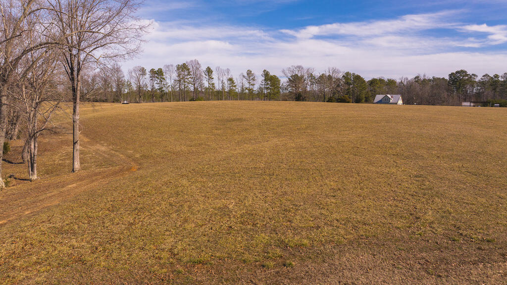 11300 Amelia Springs Rd, Jetersville, Virginia image 9