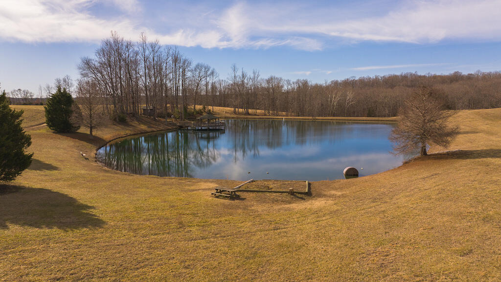 11300 Amelia Springs Rd, Jetersville, Virginia image 5