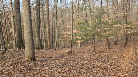 Vacant Land For Sale - LOT 60 Cherrywood Ln<br/> Moneta, VA 24121