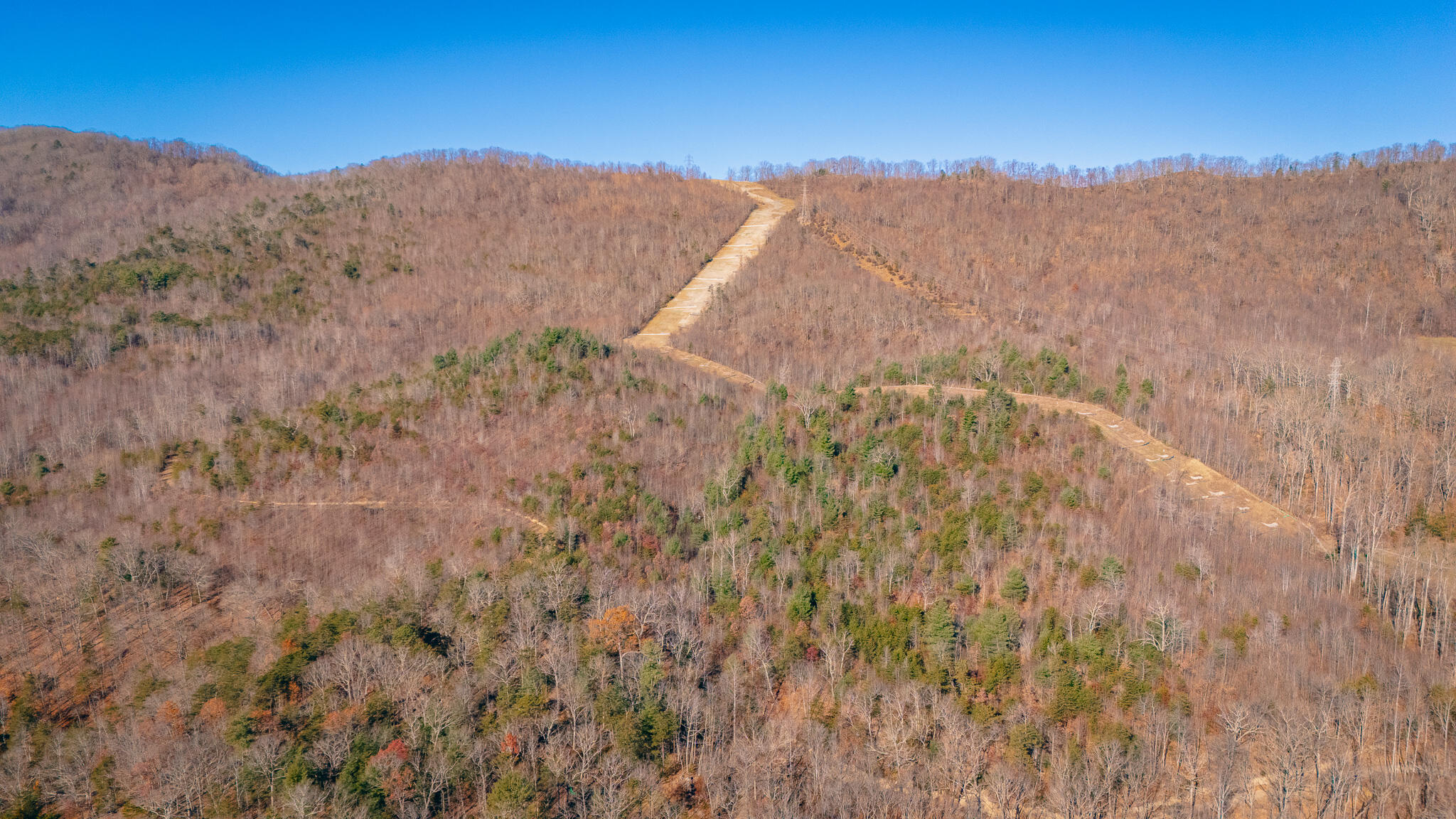 Bacchus Ln, Elliston, Virginia image 8