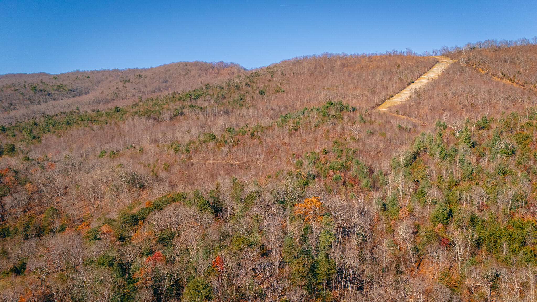 Bacchus Ln, Elliston, Virginia image 3