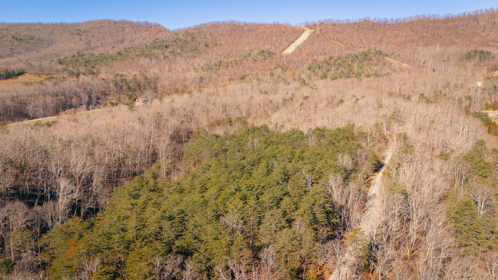 Bacchus Ln, Elliston, Virginia image 10