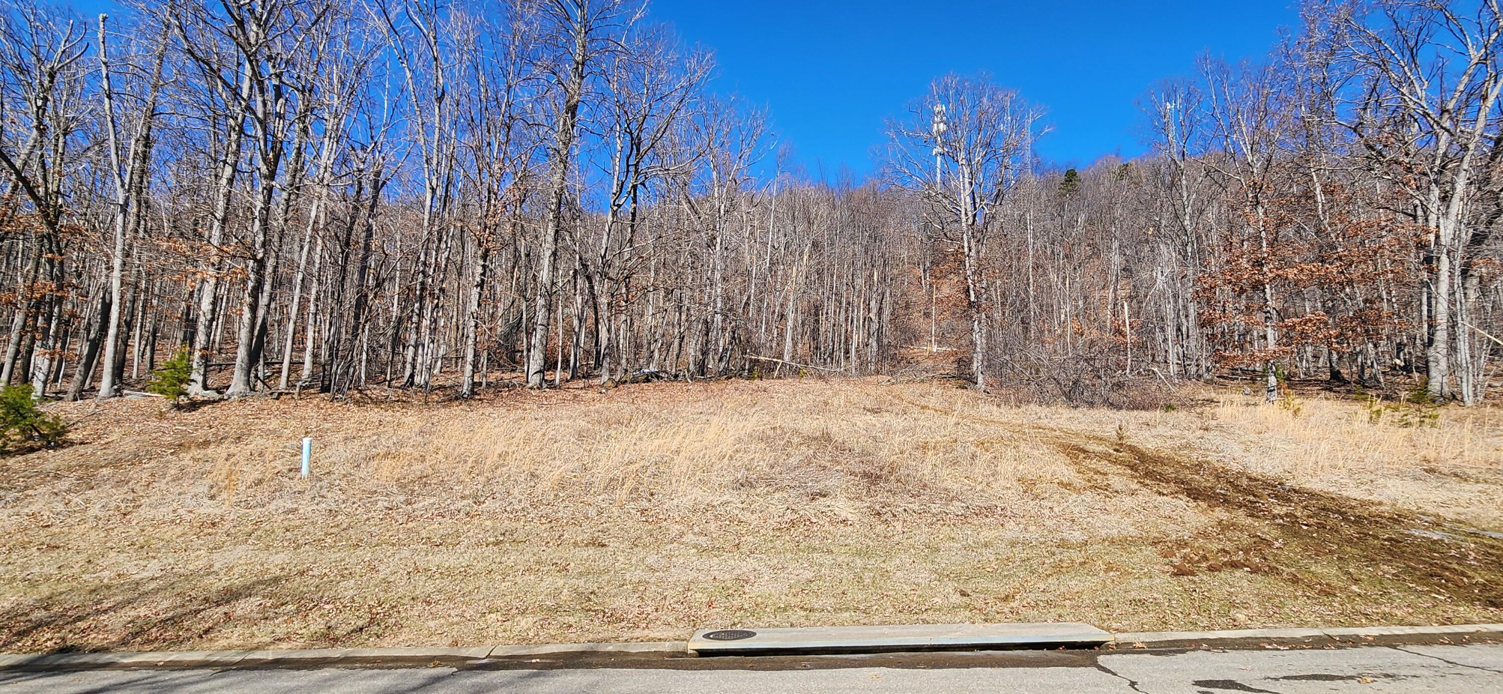 Lot 15 Summit Dr, Rocky Mount, Virginia image 1