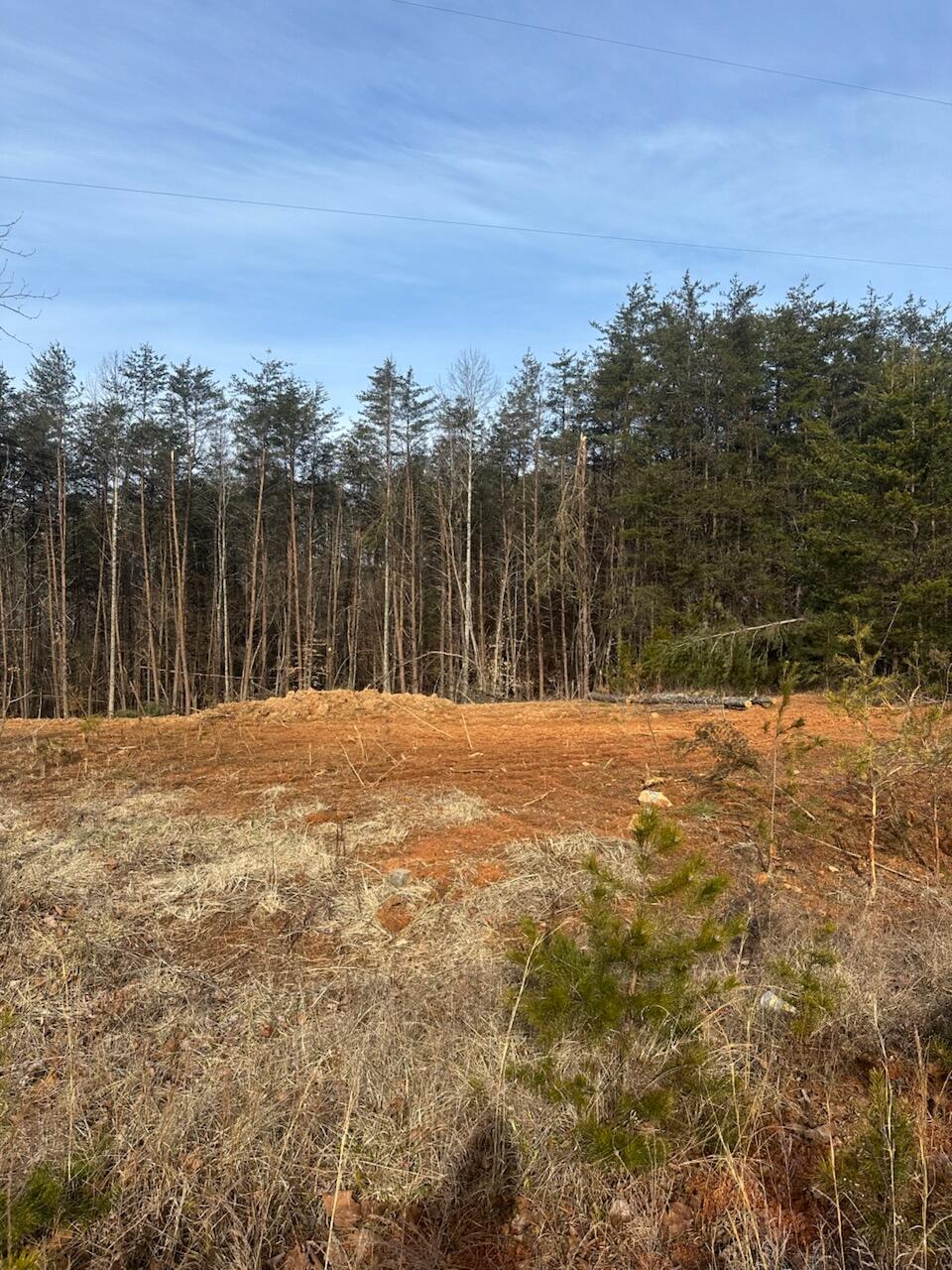 Lot 48 Dillon Cabin Rd, Moneta, Virginia image 1