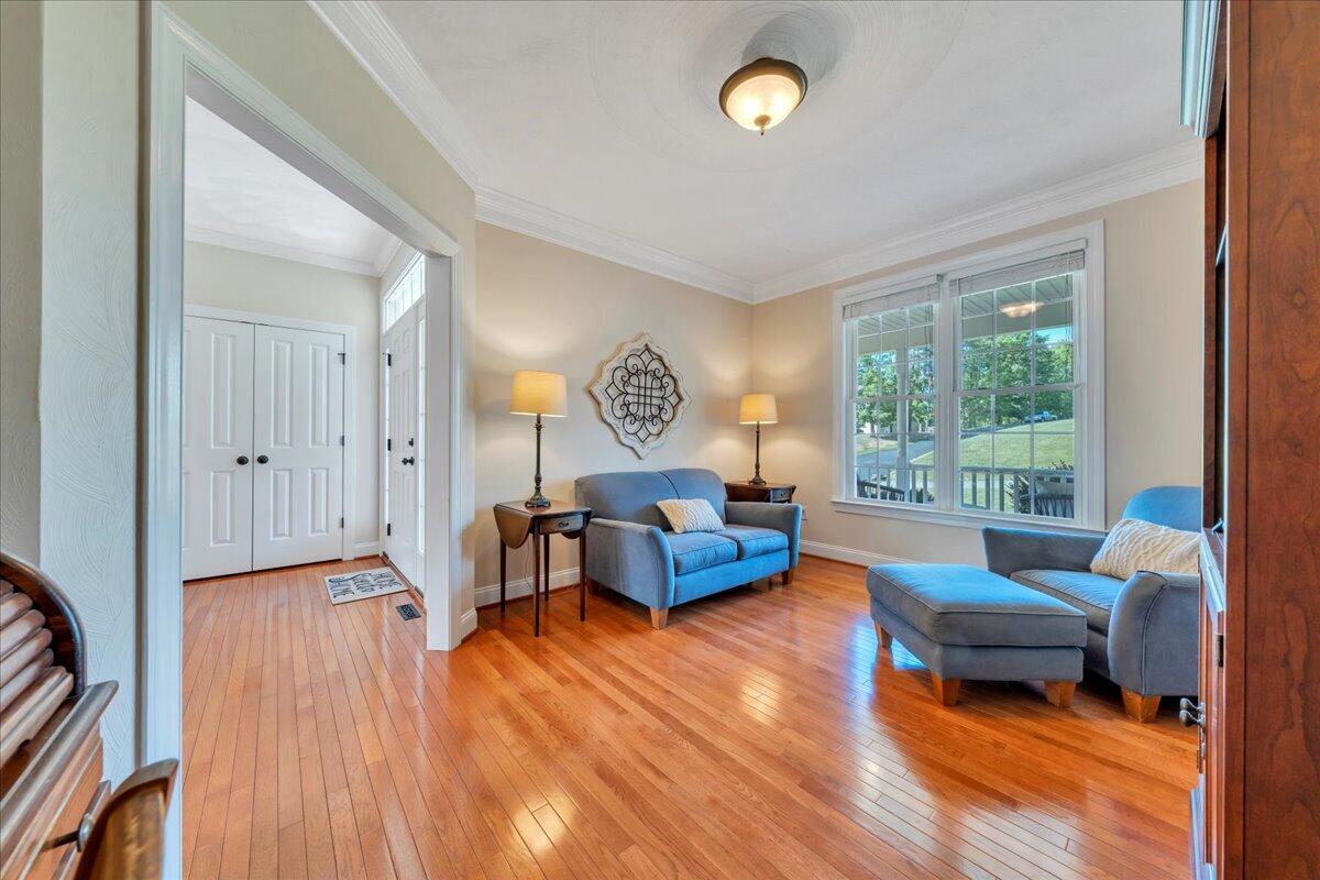 466 Thornblade Way, Blue Ridge, Virginia image 12