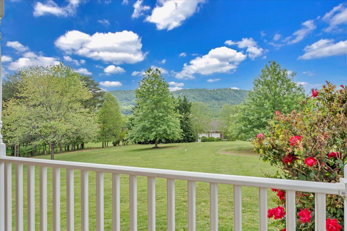 466 Thornblade Way, Blue Ridge, Virginia image 8