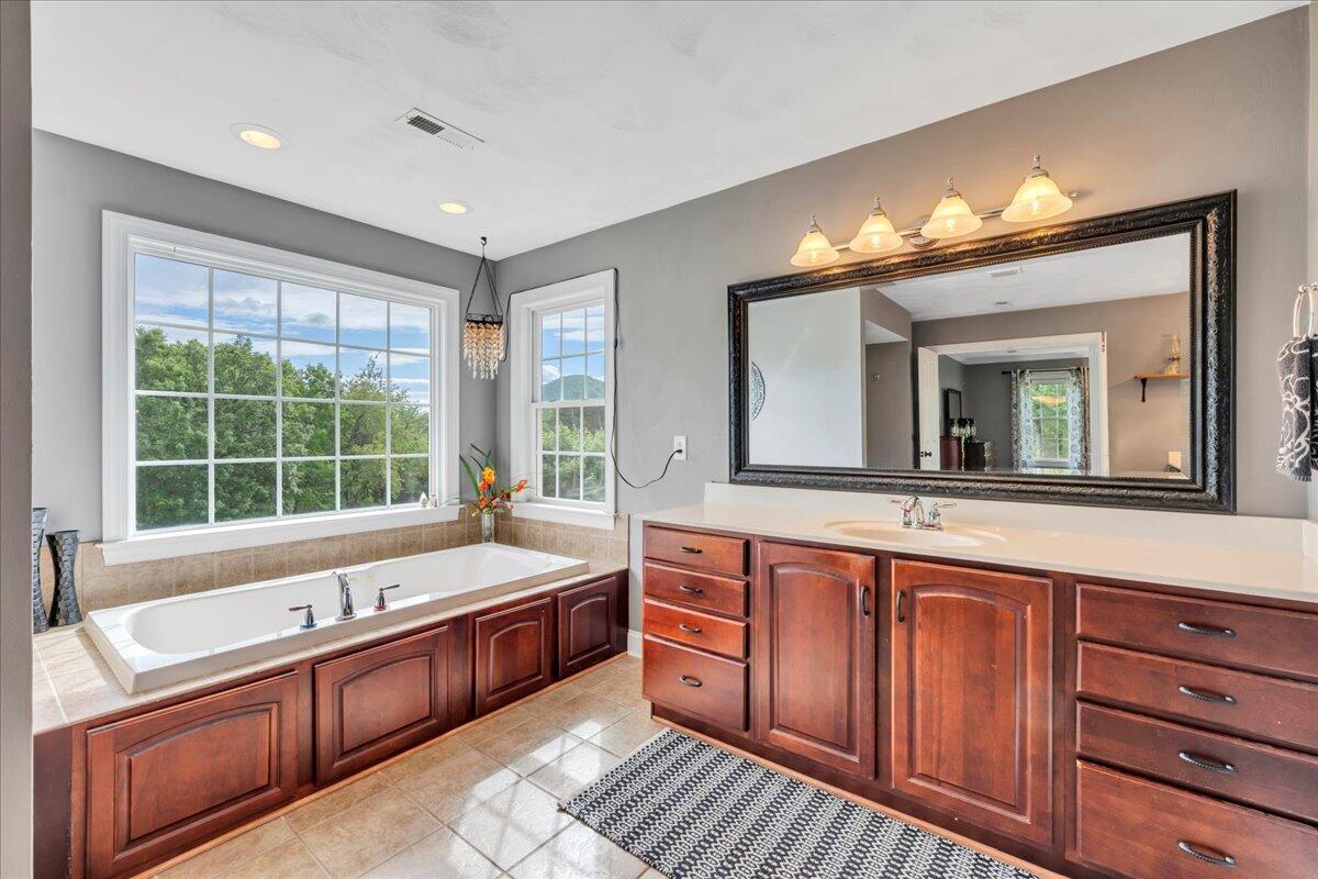 466 Thornblade Way, Blue Ridge, Virginia image 32