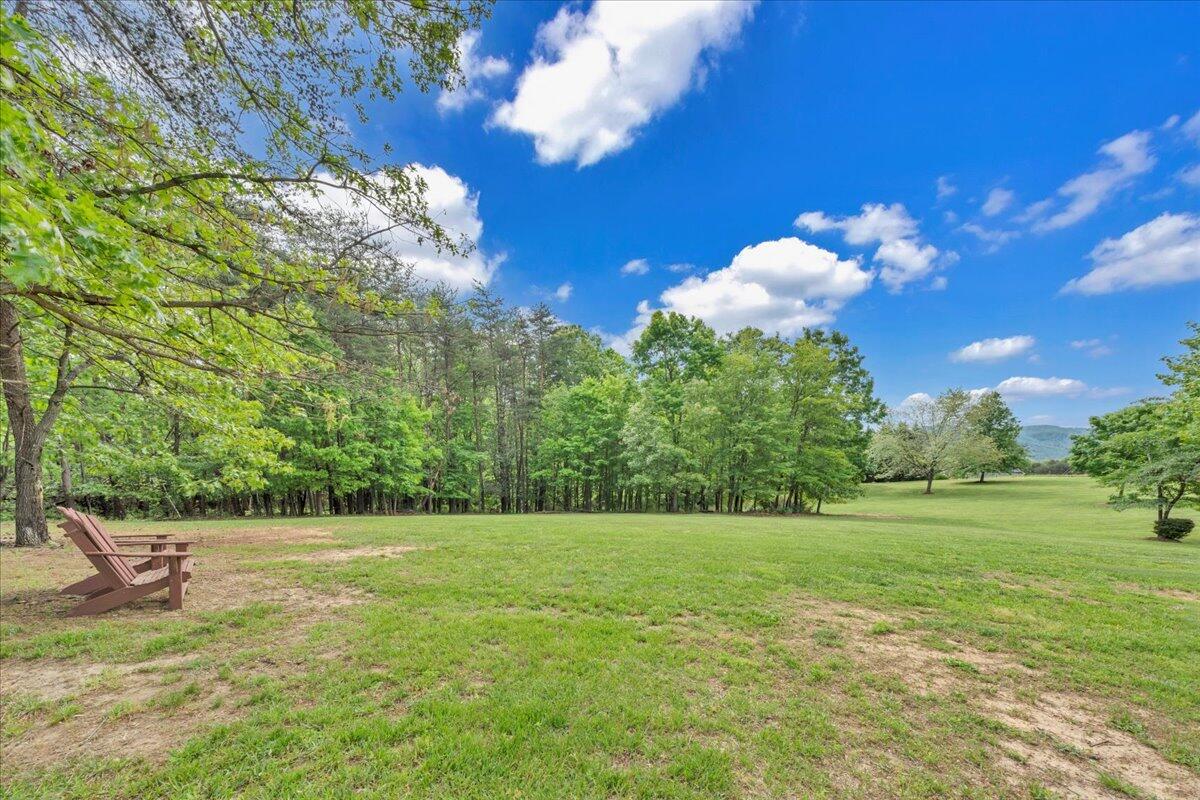 466 Thornblade Way, Blue Ridge, Virginia image 4