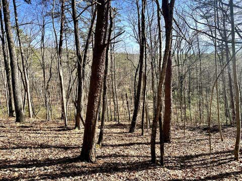 Vacant Land For Sale - Hobbstown Rd<br/> Dunlap, TN 37327