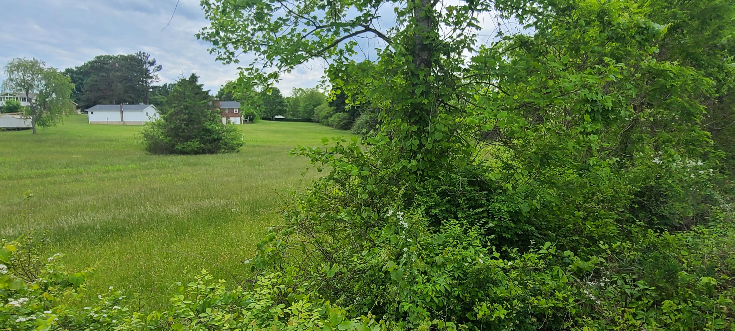 Lot 8 Edwardsville Rd, Hardy, Ohio image 3