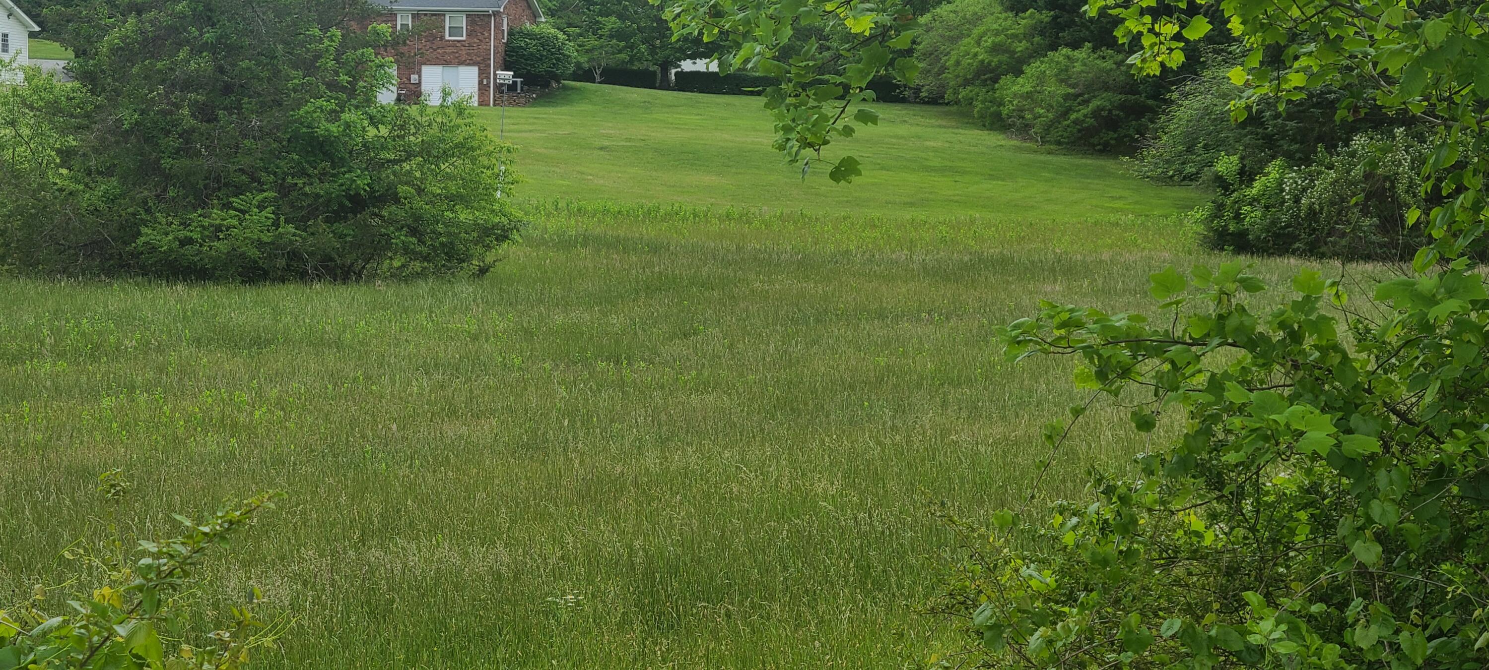 Lot 8 Edwardsville Rd, Hardy, Ohio image 5