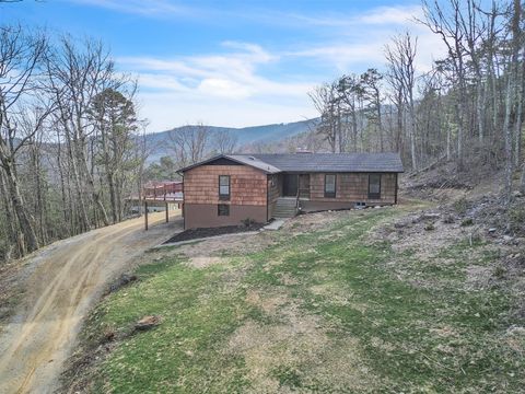 Homes For Sale - 7923 Poor Mountain Rd<br/> Bent Mountain, VA 24059