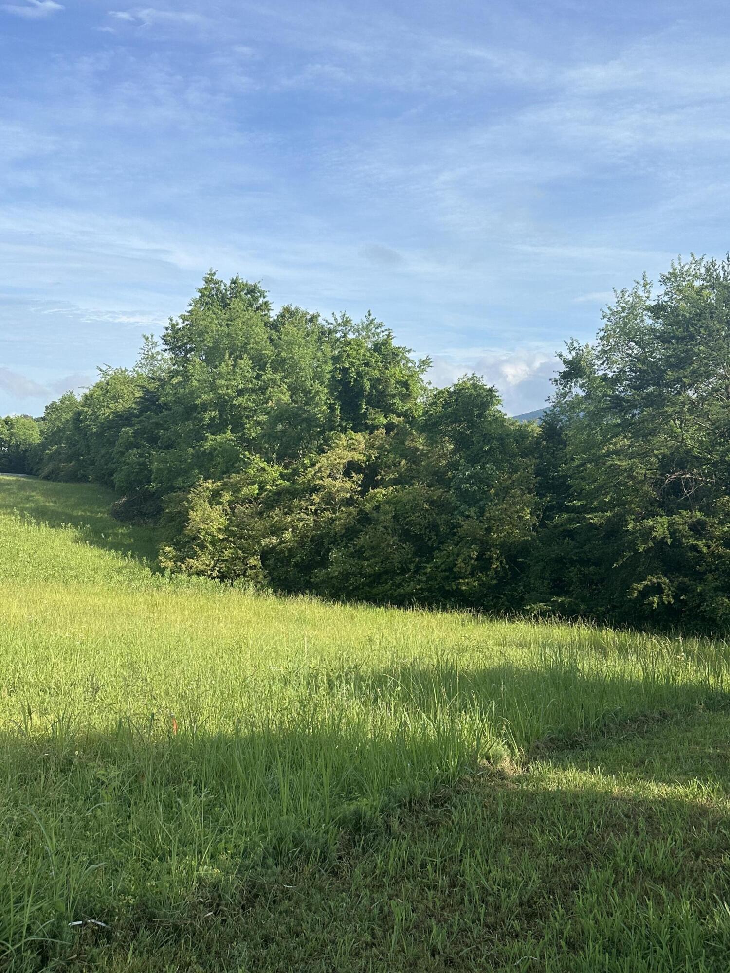 Corner Virginia Ridge Dr, Hardy, Virginia image 1
