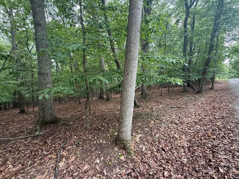 Vacant Land For Sale - LOT 17 Saunders Point Rd<br/> Huddleston, VA 24104