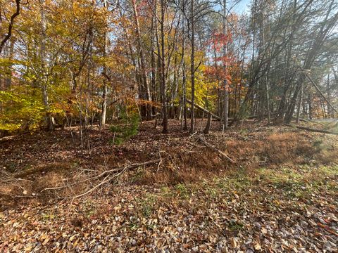 Vacant Land For Sale - 000 Stripers Ln<br/> Moneta, VA 24121