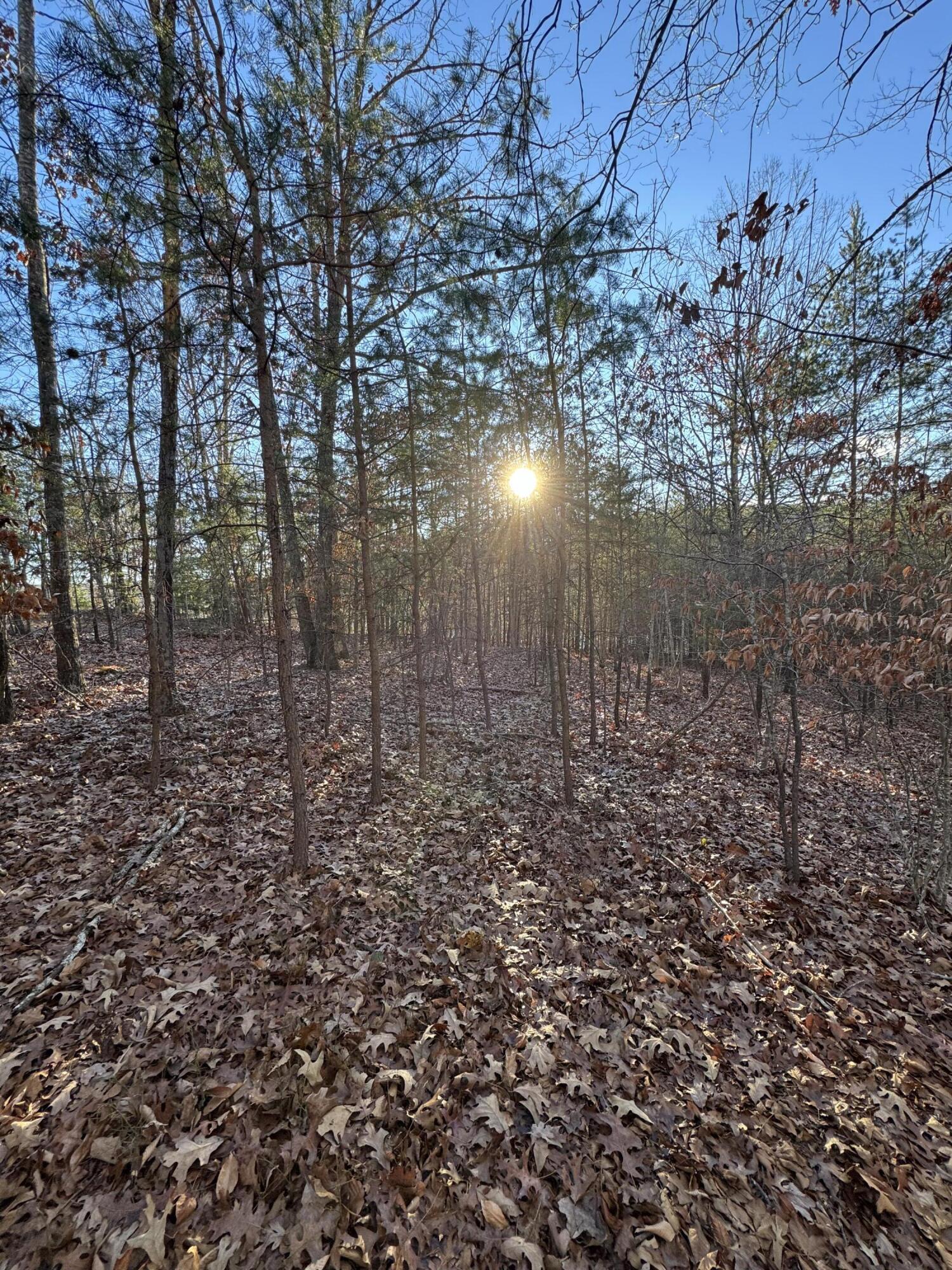 Lot 49 Garrison Ridge, Pittsville, Virginia image 1