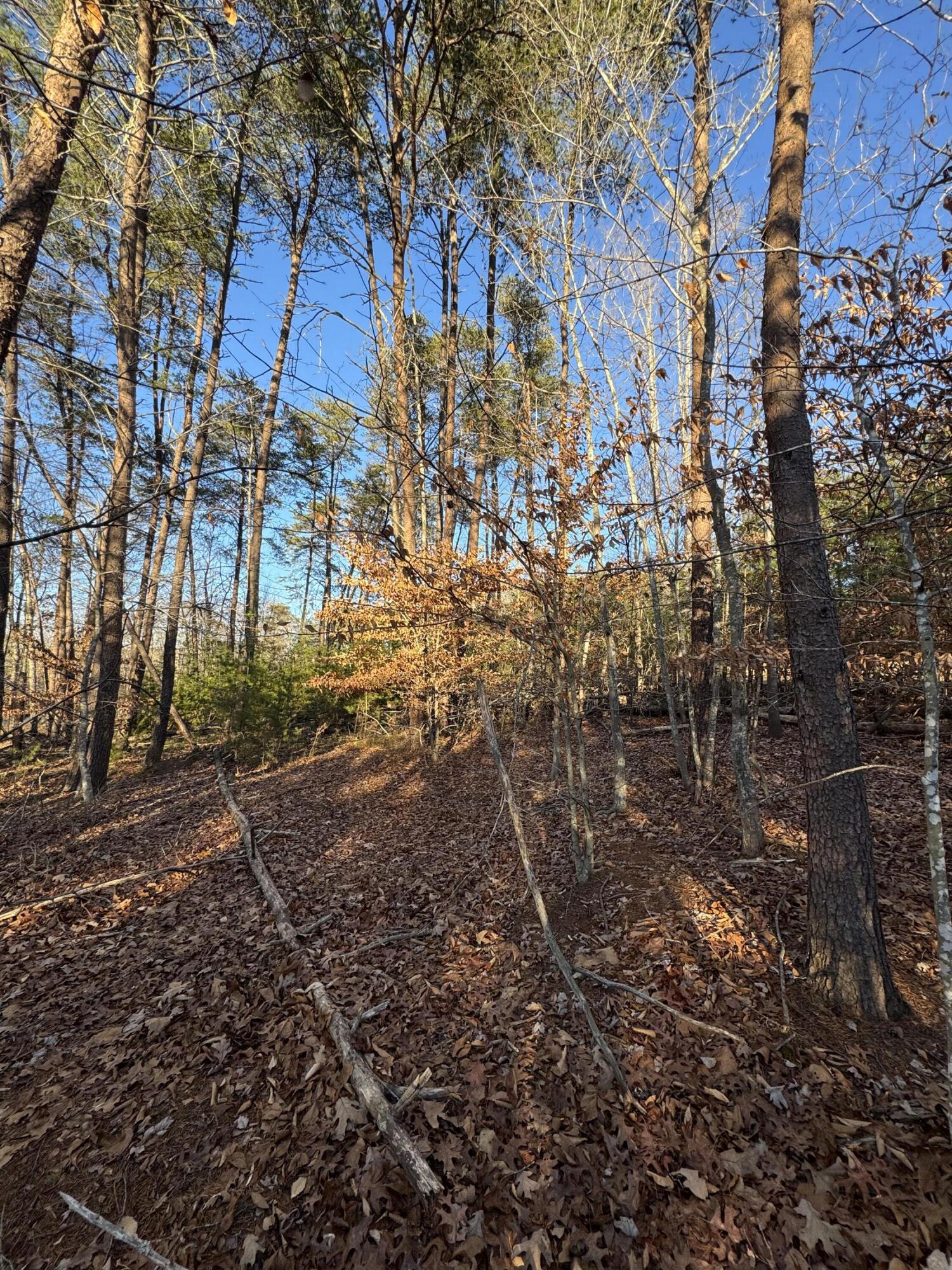 Lot 49 Garrison Ridge, Pittsville, Virginia image 7