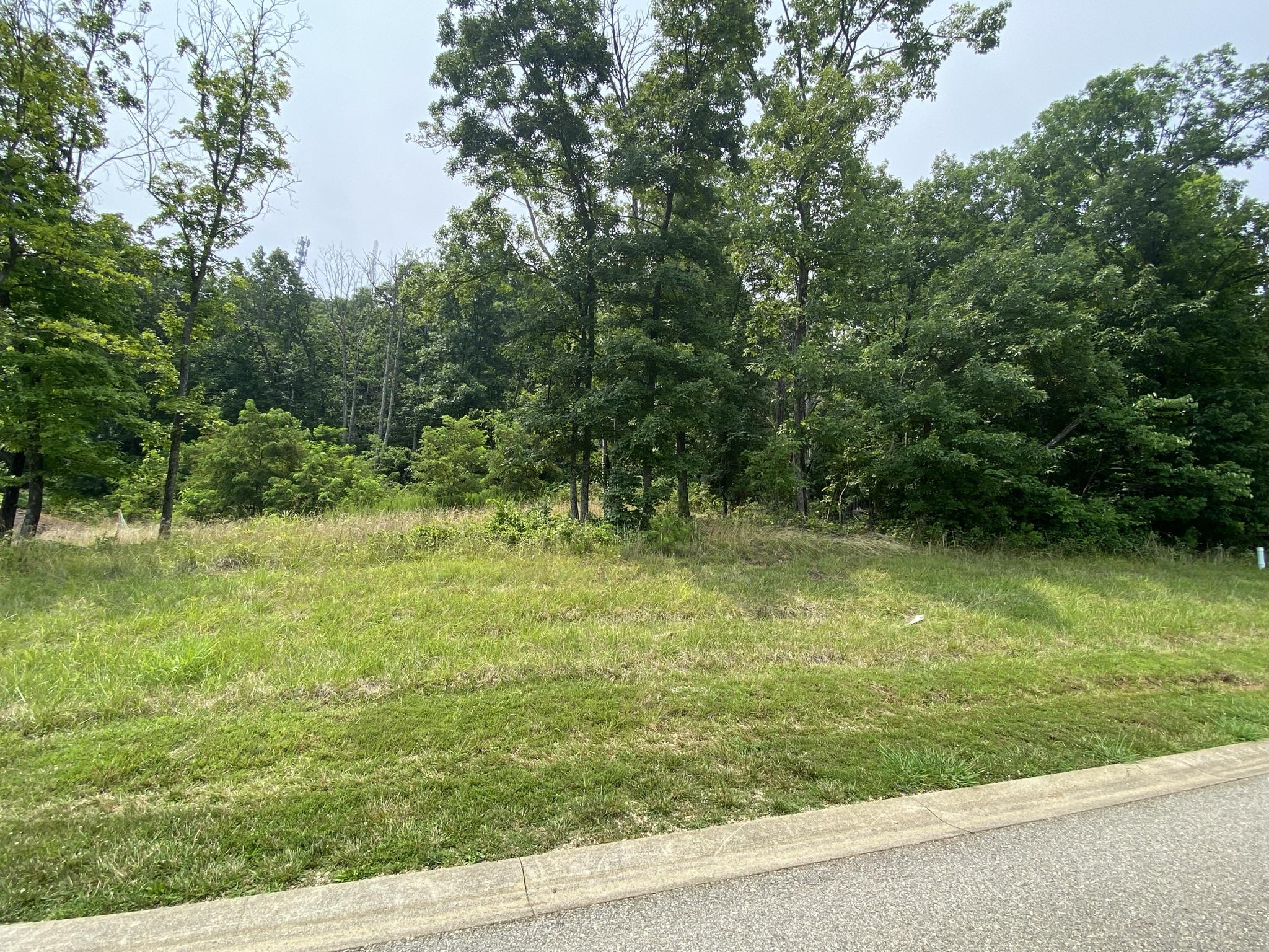 LOT 18 Summit Dr, Rocky Mount, Virginia image 1